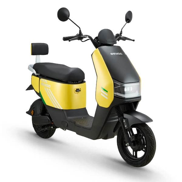 model image
