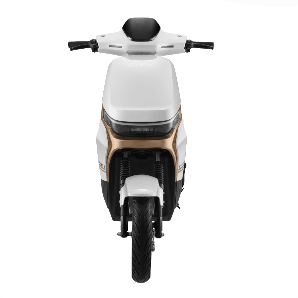 model image